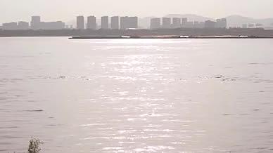 夕阳下的长江货船视频的预览图
